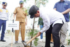 Pemkot Bengkulu dan Pelindo Hijaukan Kawasan Pelabuhan Pulau Baai