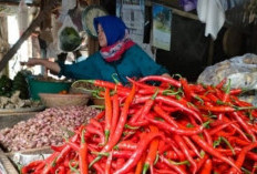 Jalan di Pasar Panorama Makin Luas, Pedagang Mulai 'Bernapas' di Dalam Kios