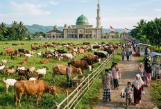 Kemenag Siapkan Sidang Isbat, Muhammadiyah Tetapkan Idul Adha  27 Mei 2026