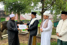  Pemprov Bengkulu Berbagi Kurban, Dua Ekor Sapi Diserahkan ke Masjid Baitul Izzah