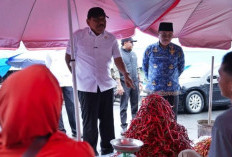 Sidak di Pasar Panorama, Wagub Mian Temukan Ada Kenaikan   Harga Bahan Pokok