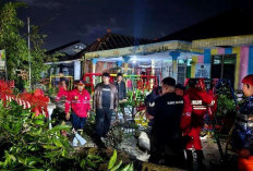  Cuaca Ekstrem, Wakil Walikota Bengkulu Pantau Proses Evakuasi Pohon Tumbang