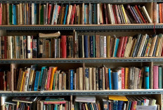 Ini Cara Merawat Buku Lama di Rumah agar Selalu Awet