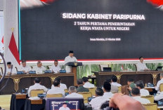 Presiden Prabowo Minta Usut Tuntas Pelaku Karhutla, 32 Korporasi Dijatuhi Sanksi