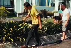 Sambut Hari Raya, Bupati Gusril Bersih-Bersih Lingkungan Rumah Dinas 