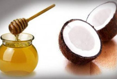 khasiat minyak kelapa dicampur dengan madu untuk kesehatan, cocok banget untuk pencernaan