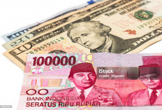 Merespons Dinamika Pasar: Strategi di Balik Jinaknya Dolar Terhadap Rupiah