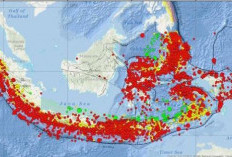 Gempa Magnitudo 4,1 Guncang Wilayah Utara Muna, Sulawesi Tenggara