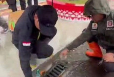Walikota Bengkulu Temukan Drainase  Tersumbat Sampah Plastik di Belungguk Point Saat Sidak