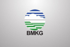  BMKG  Bengkulu Keluarkan Peringatan Dini, Waspada Gelombang Tinggi