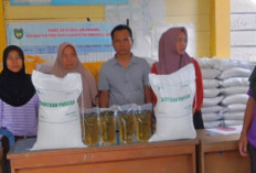 Pemdes Air Kemang Salurkan Beras dan Minyak Goreng kepada 231 KK