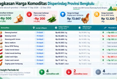 Harga Komoditas Pangan Bengkulu Bergerak Fluktuatif, Bawang Bombai Naik Rp500 per Kilogram