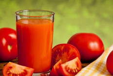 Ini Dia Cara Membuat Jus Segar yang Sehat untuk Menjaga Kebugaran Tubuh 