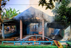 Waspada, Korsleting Listrik Bisa Menjadi Faktor Utama Terjadi Kebakaran