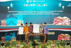 Pemprov dan BI Kompak Jaga Harga Pangan Tetap Aman, Ekonomi Bengkulu Sangat Stabil