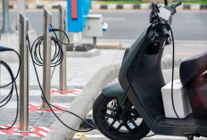 Aismoli Optimistis Ekosistem Kendaraan Listrik Makin Tumbuh,  Pabrik Motor Listrik Nasional Diresmikan