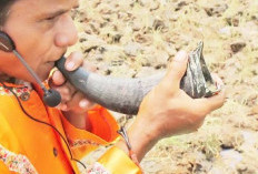 Melodi dari Alam: Mengenal Pupuik, Jiwa Instrumen Tiup Minangkabau