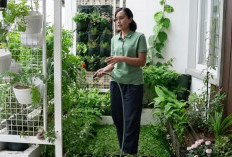  Inilah Cara Sederhana Hadirkan Lingkungan Seimbang di Tengah Kota