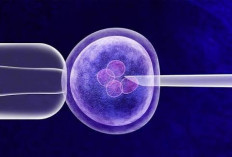 Germline Therapy: Harapan Baru atau Garis Merah Medis?