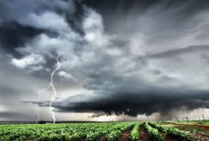 BMKG Prediksi ENSO Netral, Musim Hujan Datang Lebih Awal dan Berdurasi Lebih Panjang