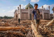 Fenomena Penyaluran Bantuan Banjir di Sumatera: Tinjauan Kasus Nyata dalam Perspektif Teori Kesopanan