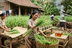 Inilah Cara Cerdas Memulai Usaha Serai Wangi Rumahan yang Mennghasilkan Cuan
