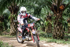 PT Agrinas Palm Nusantara: Mengakselerasi Nilai Strategis dan Produktivitas Aset Negara