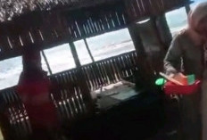 Walikota Bengkulu Sayangkan, Viralnya Video Oknum  Pedagang di Kawasan Pantai Panjang