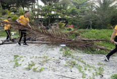 Aksi Nyata, Polda Bengkulu  Bersih-Bersih Pantai Kualo Demi Lingkungan yang ASRI