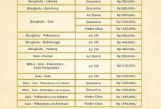 Siap Mudik,  Ini Daftar Tarif Tiket Lebaran PO SAN Sudah Rilis