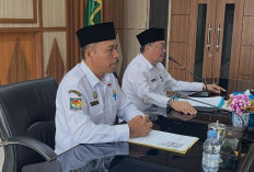Dorong Hilirisasi Sawit, Pemprov Bengkulu Percepat Izin Industri Minyak Goreng Kemasan