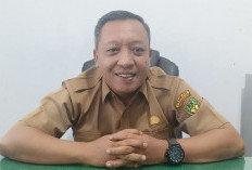 BKD Bengkulu Selatan  Kembali Akan Lakukan Lelang Kendaraan Dinas