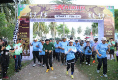 KAURUN 5K 2026 Sukses diikuti Peserta 4 Provinsi, 2.000 Runner Ramaikan Pantai Pinang Tawar