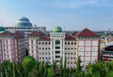 Naik Lagi, UIN Syarif Hidayatullah  Jakarta Peringkat 29 Universitas Terbaik Dunia