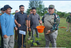 Pemkab Bengkulu Selatan Tanam Pohon Serentak, Resmi Luncurkan Hutan Prajurit dan Hutan Santri