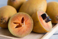 Baik Dikonsumsi Saat Hamil, Ini 8 Manfaat Buah Sawo bagi Kesehatan Tubuh