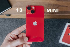 iPhone 13 Mini, Sematkan Layar XDR Super Chip A15, Resolusi Kamera 15MP Hingga Koneksi Internet 5G