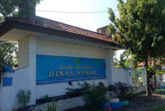 Validitas Data Jadi Kunci, Dinas Sosial Kota Bengkulu Tekankan Proses Penetapan Penerima Bansos