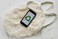 Begini Cara Mudah Mengurangi Plastik Sekali Pakai di Rumah