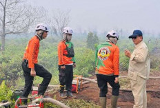 Presiden Prabowo Subianto Perintahkan Tindak Tegas Pelaku Pembakaran Hutan