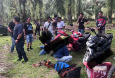 Polres Kaur Grebek Judi Sabung Ayam dan Dadu, Amankan 3 Terduga Pelaku