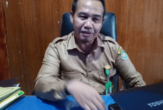 Pemda Kaur Mengusulkan Penerimaan 165 CPNS di Tahun 2026