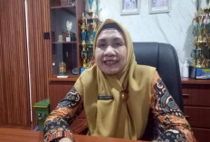 Dinas Kesehatan  Ajak  Masyarakat  Lebih Waspada Terhadap Nyamuk DBD