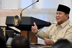 Swasembada Pangan Jadi Modal Indonesia Hadapi Ketidakpastian Global