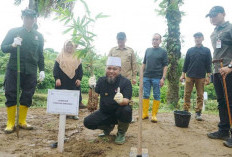 Launching Penanaman 49.280 Bibit Pohon, Helmi Hasan: Laporkan Jika Ada Sawit di Pinggir Sungai!