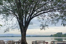 Beri Kenyamanan, Danau Dendam Tak Sudah Bengkulu Tetap Ramai Dikunjungi Warga