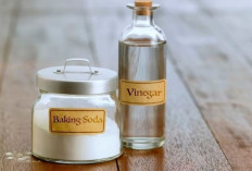 Ini  Cara Alami Menghilangkan Bau Saluran Air di Kamar Mandi