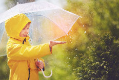 Musim Hujan Datang! Lakukan 7 Cara Agar Tidak Mudah Sakit, Nomor 5 Paling Sering Diabaikan