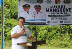 Penanaman 1.000 Batang Pohon Manggrove di Mukomuko Dapat Apresiasi dari Bupati Choirul Huda