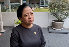 Dugaan Alih Fungsi Lahan Pasca Kebakaran Hutan dan Lahan Harus Diselidiki
